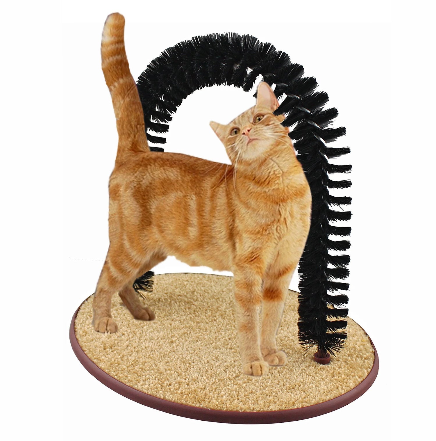 Cat Toys