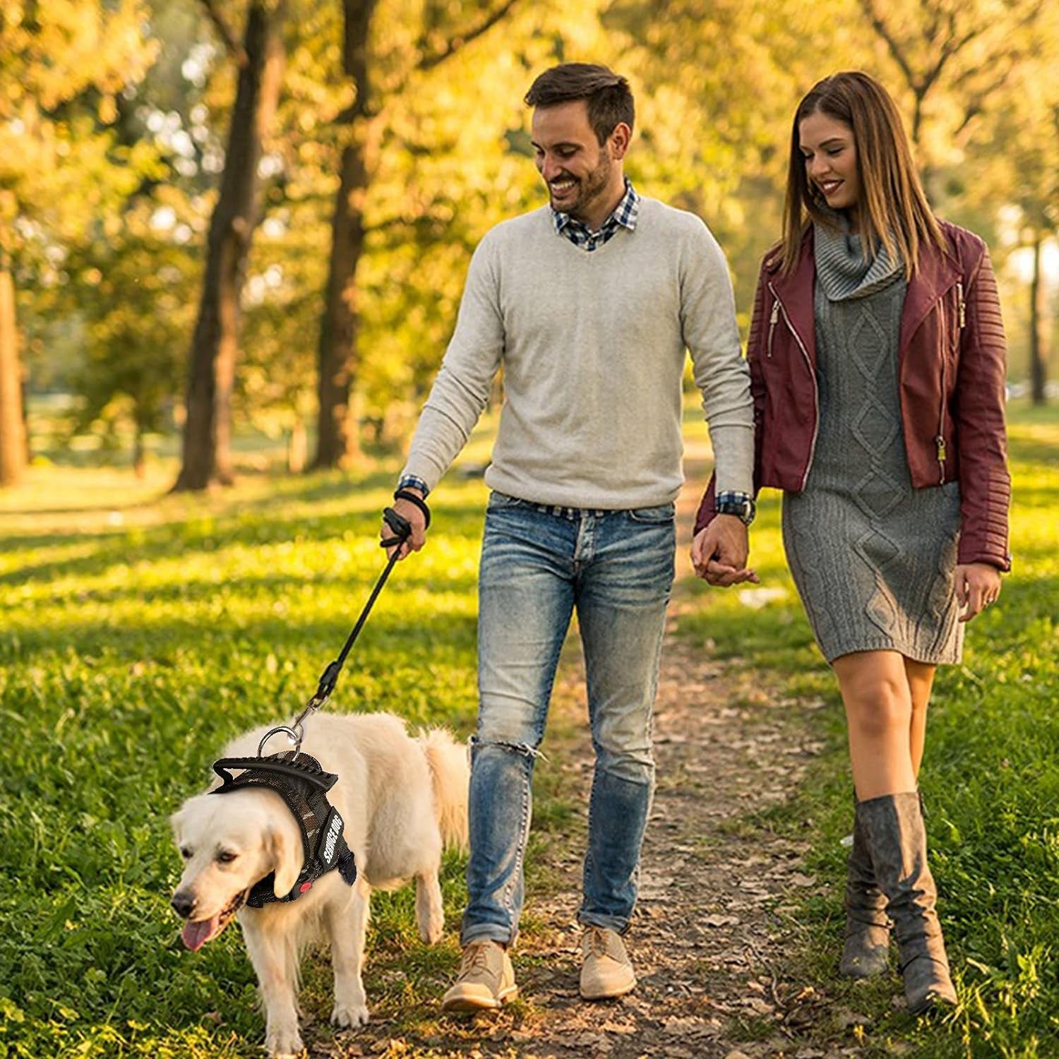 Pet Wear & Walk Gear